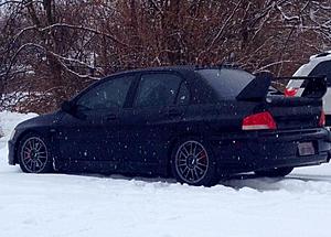 Newbie-evo1.jpg