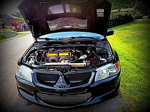 New Guy-evo.jpg