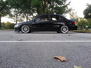 new to the forms-3.jpg