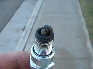 Might have seized-plug2.jpg