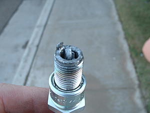 Might have seized-plug3.jpg