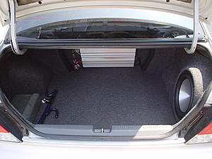 Everybody's Systems!-whole-trunk.jpg