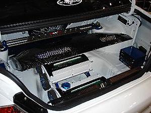 My trunk-sbn-007s.jpg