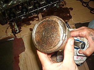 question about NOS-im000422.jpg