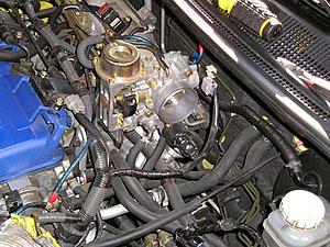 intake manifold install w/pics-tb-hoses-harnesses.jpg