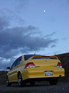 perfect day for new pics-poster.jpg