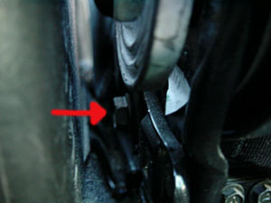 Schroth 4 Point Harness-dsc00371.jpg