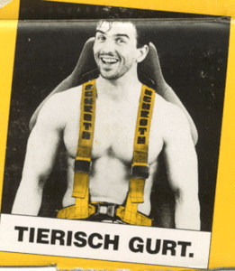 Schroth 4 Point Harness-schrotha.gif