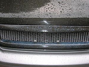What the hell is this?-blue-spots.jpg
