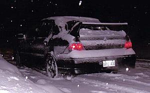 Started to snow again-snow1.jpg