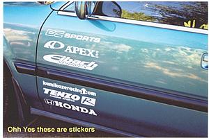 sticker placement-side-view.jpg
