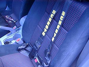 Schroth installed-harness2.jpg