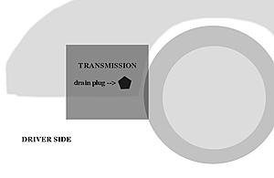 How-To Automatic Transmission Flush-transide.jpg