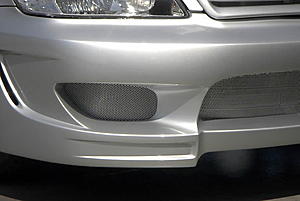 Silver... Silver... and Silver.-grill.jpg
