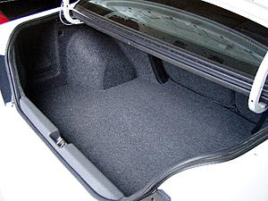 Trunk Pictures-trunk02.jpg
