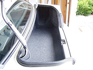 Trunk Pictures-trunk05.jpg