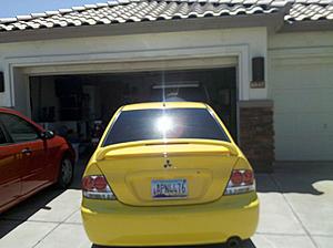 Lightning yellow OZ-img_20110814_121840.jpg