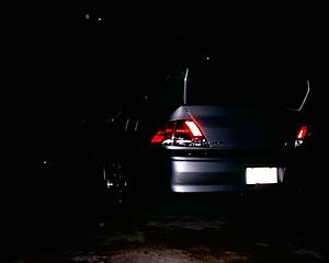 Nite Pics-rear-night.jpg