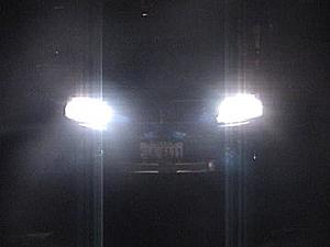 Nite Pics-front.jpg