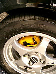 Yellow callipers-upload3.jpg