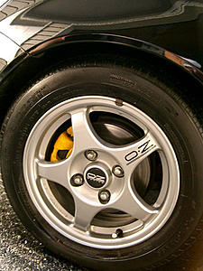 Yellow callipers-upload4.jpg