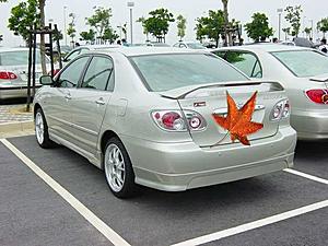 corolla-corolla_rear.jpg