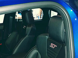 Fiesta ST is a great car.-headrest.jpg