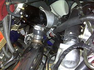 Synapse bov-resized-synapse-bov1.jpg