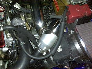 Synapse bov-resized-synapse-bov2.jpg