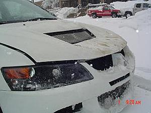 Il Evo Spotted Thread......-dsc01607.jpg