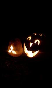 Pumpkins Thread-imag0043.jpg
