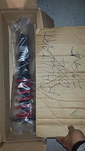 Raceland coilovers (BNIB) MUST SELL!-coilovers-4.jpg