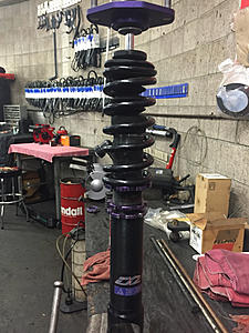 D2 coilovers-image-3713187276.jpg