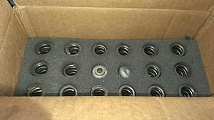 Mivec Valve cover, COP, Ingalls, Valvesprings,and more-imag0553.jpg