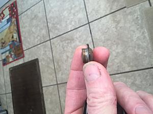 Kiggly valve spring-image.jpeg