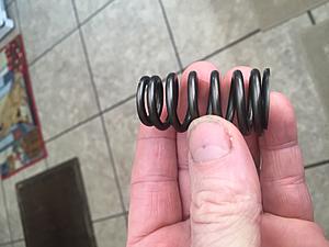 Kiggly valve spring-image.jpeg