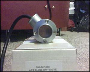 APS Bov-.jpg