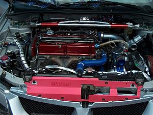 TEMEVO/SFL-steve4e.jpg