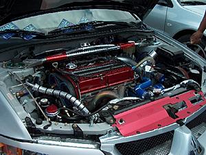 TEMEVO/SFL-steve5e.jpg