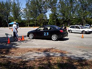 TEMEVO/SFL-autox7.jpg