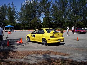 TEMEVO/SFL-autox9.jpg