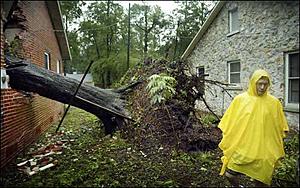 Official Frances Damage Report Thread-bilde.jpg