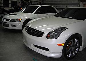 TEMEVO/SFL-twowhites.jpg