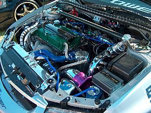 TEMEVO/SFL-shpim0734.jpg
