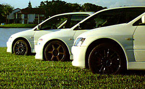 TEMEVO/SFL-wheels.jpg