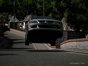 TEMEVO/SFL-flight2.jpg