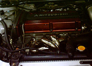 TEMEVO/SFL-header-1.jpg