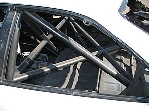 Utah Evos-cagebackwindow.jpg