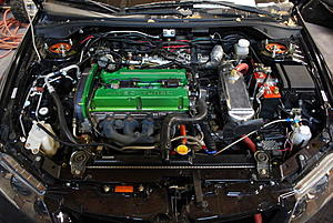 Utah Evos-dsc_0013.jpg