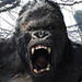 King_Kong's Avatar